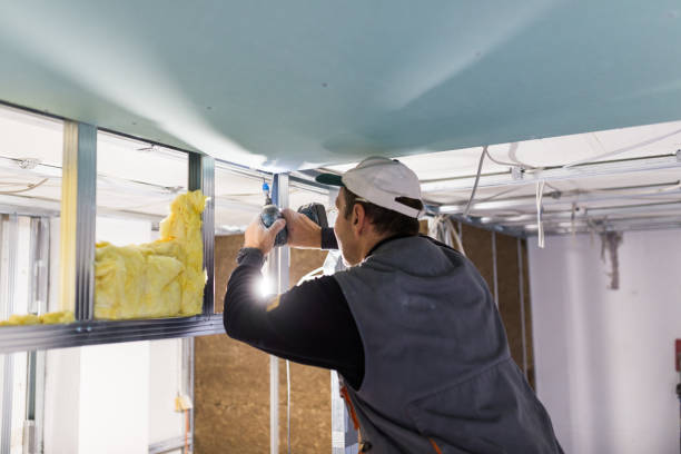 Best DIY Insulation Kits and Guidance in Blue Mound, IL