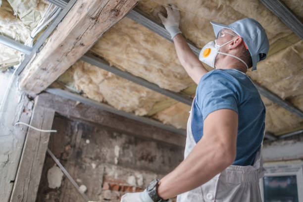 Best Commercial Insulation in Blue Mound, IL
