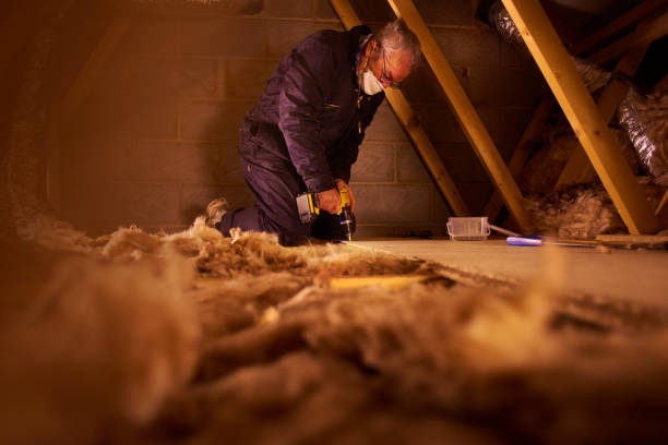 Best Specialized Insulation Services in Blue Mound, IL