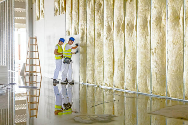 Best Spray Foam Insulation in Blue Mound, IL